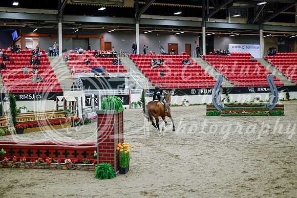 2025 - Haylee - Royal West - Tuesday October 21st - 08542