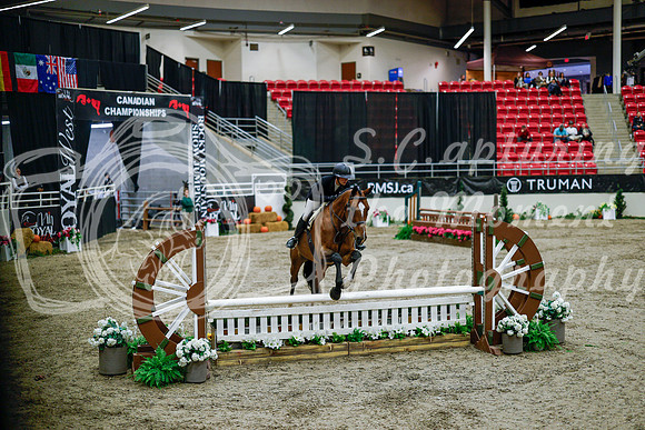 2025 - Haylee - Royal West - Tuesday October 21st - 08549