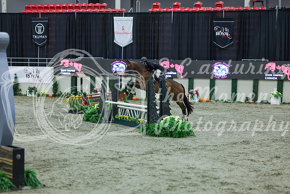 2025 - Shea - Royal West - Tuesday October 21st - 06268