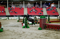 2025 - Haylee - Royal West - Tuesday October 21st - 09185