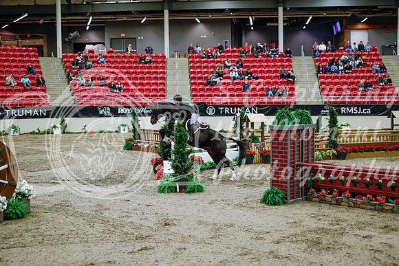 2025 - Haylee - Royal West - Tuesday October 21st - 09188