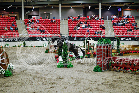 2025 - Haylee - Royal West - Tuesday October 21st - 09190