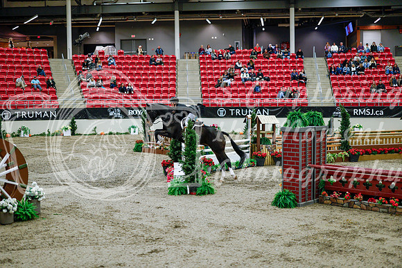 2025 - Haylee - Royal West - Tuesday October 21st - 09191