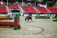 2025 - Haylee - Royal West - Tuesday October 21st - 09807