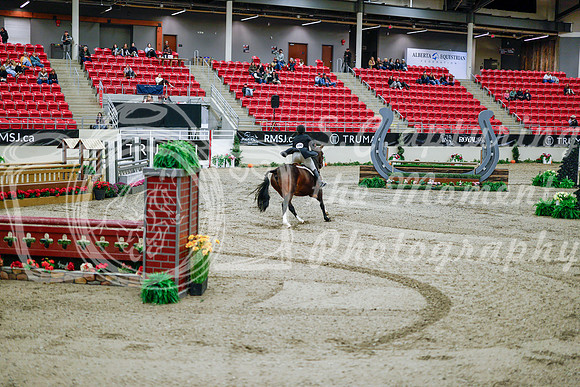 2025 - Haylee - Royal West - Tuesday October 21st - 09807