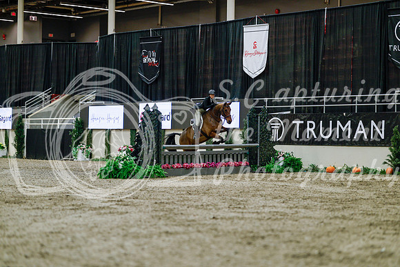 2025 - Haylee - Royal West - Tuesday October 21st - 04475