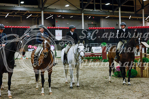2025 - Haylee - Royal West - Tuesday October 21st - 09975
