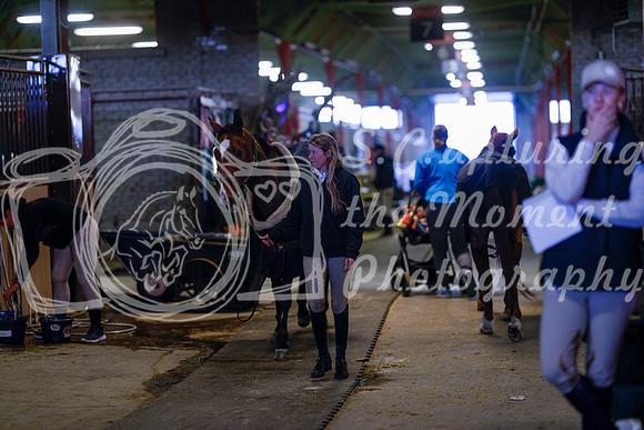 2025 - Haylee - Royal West - Tuesday October 21st - 08348