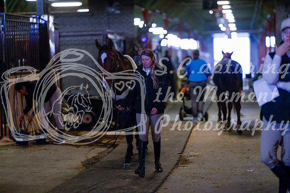 2025 - Haylee - Royal West - Tuesday October 21st - 08352