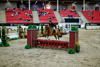 2025 - Haylee - Royal West - Tuesday October 21st - 08683