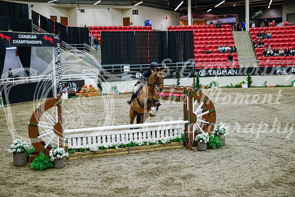 2025 - Haylee - Royal West - Tuesday October 21st - 08698
