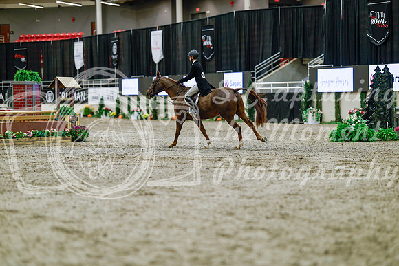 2025 - Haylee - Royal West - Tuesday October 21st - 04537