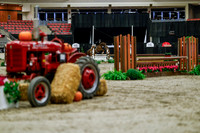 2025 - Haylee - Royal West - Tuesday October 21st - 04538