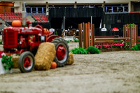 2025 - Haylee - Royal West - Tuesday October 21st - 04542