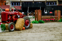 2025 - Haylee - Royal West - Tuesday October 21st - 04543