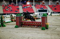 2025 - Haylee - Royal West - Tuesday October 21st - 09688
