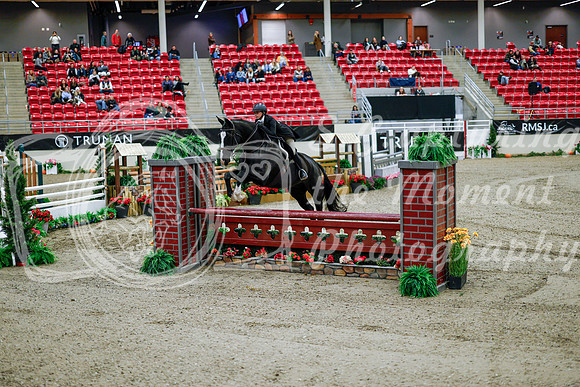 2025 - Haylee - Royal West - Tuesday October 21st - 09688
