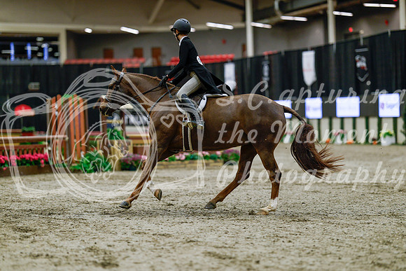 2025 - Haylee - Royal West - Tuesday October 21st - 04551