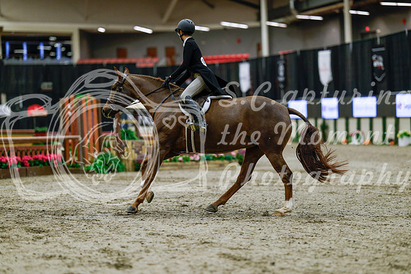 2025 - Haylee - Royal West - Tuesday October 21st - 04552