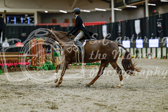 2025 - Haylee - Royal West - Tuesday October 21st - 04553