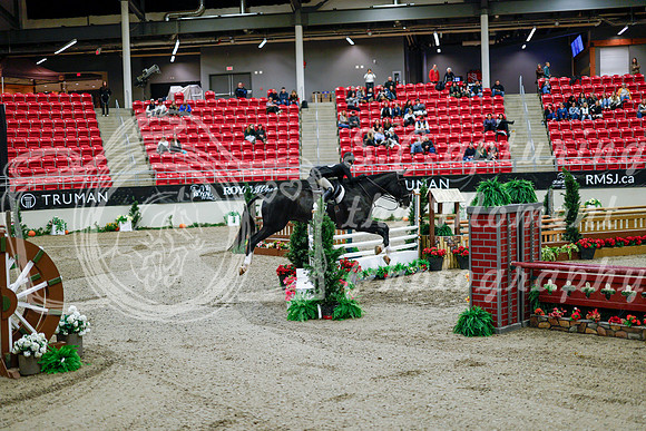 2025 - Haylee - Royal West - Tuesday October 21st - 09698