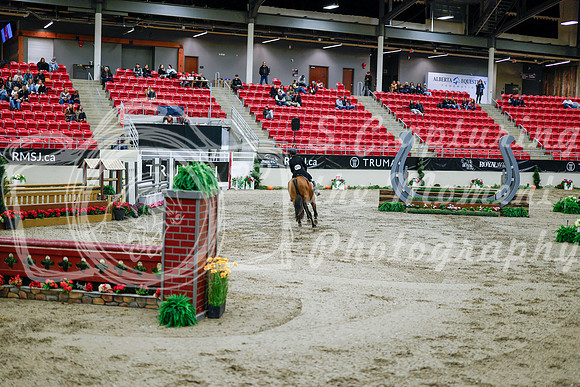2025 - Haylee - Royal West - Tuesday October 21st - 09423
