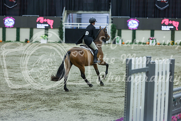 2025 - Shea - Royal West - Tuesday October 21st - 07537