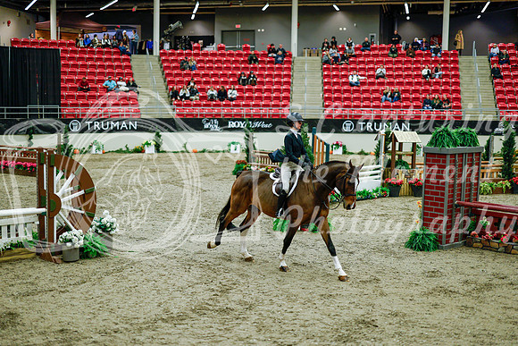 2025 - Haylee - Royal West - Tuesday October 21st - 08464