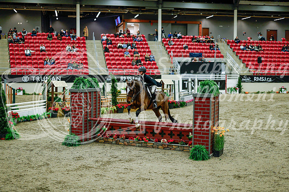 2025 - Haylee - Royal West - Tuesday October 21st - 08472