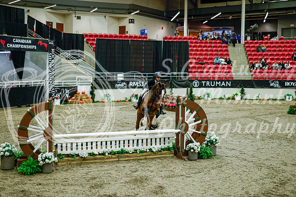 2025 - Haylee - Royal West - Tuesday October 21st - 08484