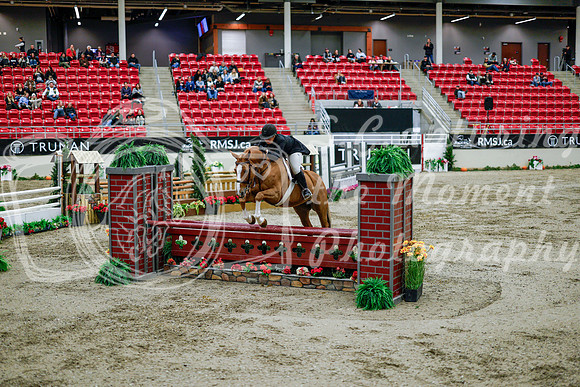 2025 - Haylee - Royal West - Tuesday October 21st - 09527