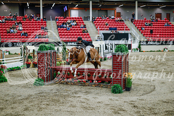 2025 - Haylee - Royal West - Tuesday October 21st - 09531
