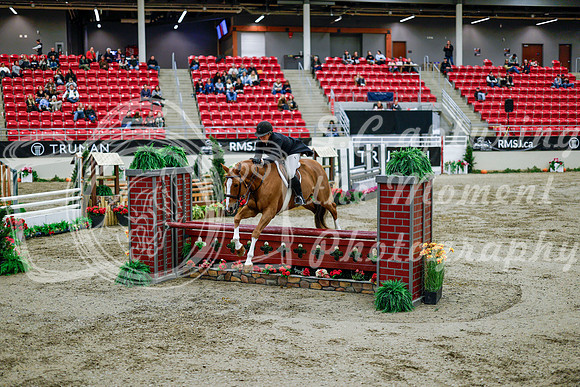 2025 - Haylee - Royal West - Tuesday October 21st - 09532