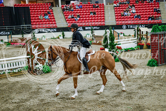 2025 - Haylee - Royal West - Tuesday October 21st - 09535