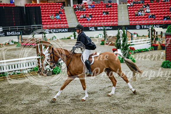 2025 - Haylee - Royal West - Tuesday October 21st - 09537