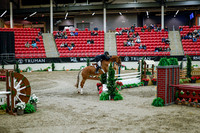 2025 - Haylee - Royal West - Tuesday October 21st - 09544
