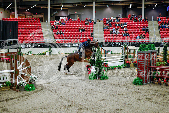2025 - Haylee - Royal West - Tuesday October 21st - 09735