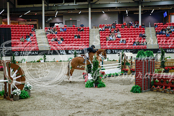 2025 - Haylee - Royal West - Tuesday October 21st - 09545