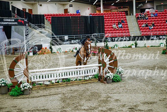 2025 - Haylee - Royal West - Tuesday October 21st - 09548