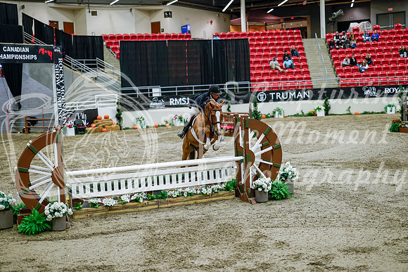 2025 - Haylee - Royal West - Tuesday October 21st - 09550