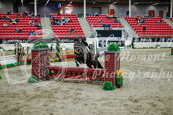 2025 - Haylee - Royal West - Tuesday October 21st - 08835