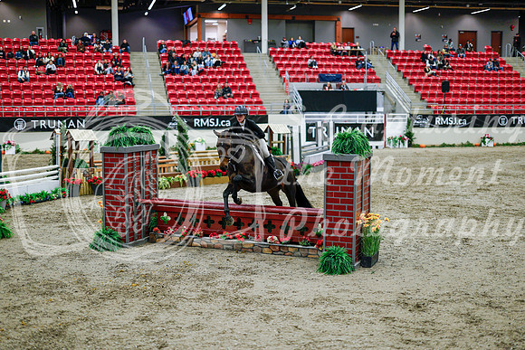2025 - Haylee - Royal West - Tuesday October 21st - 08838