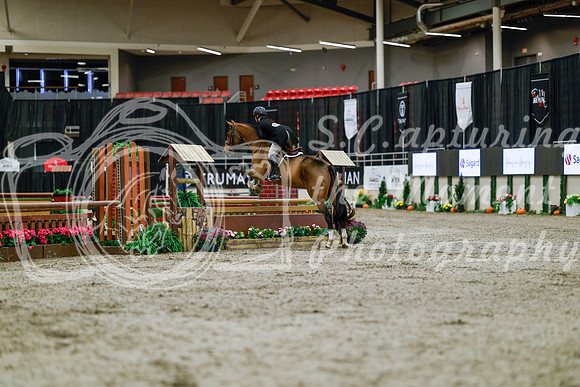 2025 - Haylee - Royal West - Tuesday October 21st - 03900