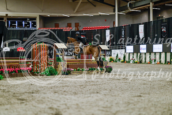 2025 - Haylee - Royal West - Tuesday October 21st - 03902