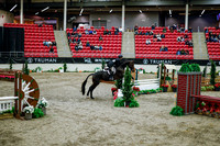 2025 - Haylee - Royal West - Tuesday October 21st - 08842