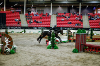 2025 - Haylee - Royal West - Tuesday October 21st - 08847