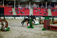 2025 - Haylee - Royal West - Tuesday October 21st - 08846