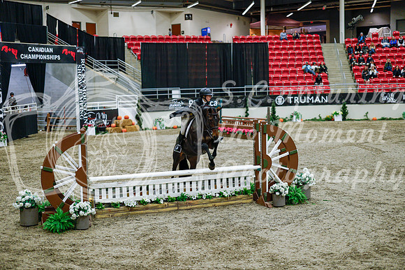 2025 - Haylee - Royal West - Tuesday October 21st - 08851