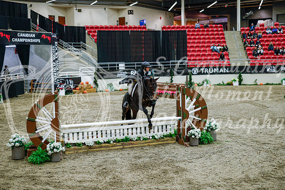 2025 - Haylee - Royal West - Tuesday October 21st - 08853