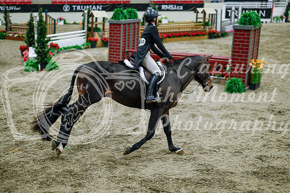 2025 - Haylee - Royal West - Tuesday October 21st - 08865